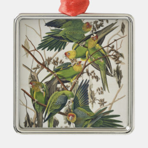 De Parkiet van Carolina, van "Vogels van Amerika", Metalen Ornament