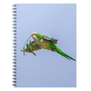 De Parkiet van de monnik in de Vallei van het Rio Notitieboek
