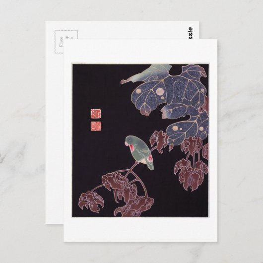 De Parrot, Jakuchu Briefkaart (Voorkant / Achterkant)