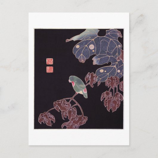 De Parrot, Jakuchu Briefkaart (Voorkant)