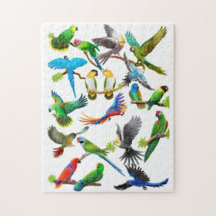 De Parrot Lovers Puzzle Legpuzzel