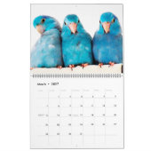 De parrotlets 2020 - Jaarlijkse fotografie-kalende Kalender (Mar 2027)