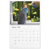 De parrotlets 2020 - Jaarlijkse fotografie-kalende Kalender (Feb 2027)