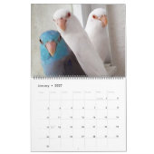 De parrotlets 2020 - Jaarlijkse fotografie-kalende Kalender (Jan 2027)