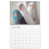 De parrotlets 2020 - Jaarlijkse fotografie-kalende Kalender (Jan 2026)