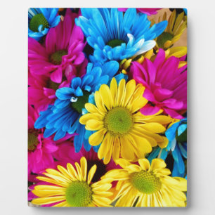 De Partij van de Douche van Daisy Flowers Blossoms Fotoplaat