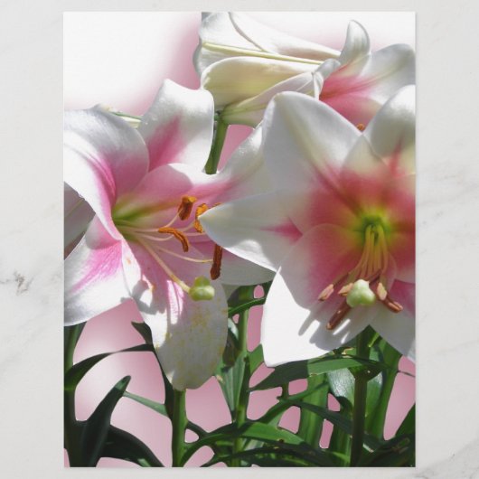 De Partij van de Douche van de Liefde van de Tuin (Voorkant)