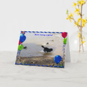 De Partij van de Hond van de Berg van Bernese Kaart (Gele Bloem)