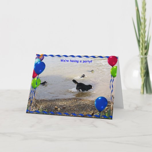 De Partij van de Hond van de Berg van Bernese Kaart (Voorkant)