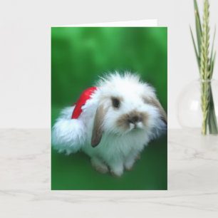 De Pasen, Umm, het Konijntje van Kerstmis Feestdagen Kaart