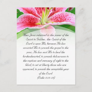De passage van de bijbel, roze lelie briefkaart