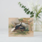 De patagonische kunk van Joseph Wolf Briefkaart (Staand voorkant)