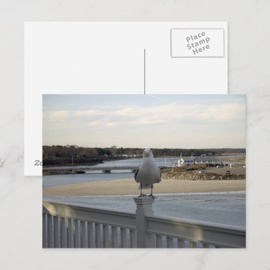 De patiëntschedel, Wells Maine Briefkaart (Voorkant / Achterkant)