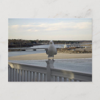 De patiëntschedel, Wells Maine Briefkaart