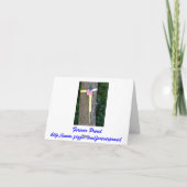 De patriottische Amerikaanse Kaart van de Nota van (Achterkant)