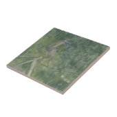 De paus Dancer (pastel) Tegeltje (Zijkant)