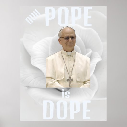 De Paus is een Koude Poster (Voorkant)
