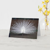 De Pauw van de albino Kaart (Gele Bloem)