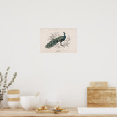 De Pauwen Oude Pauw Poster (Keuken)