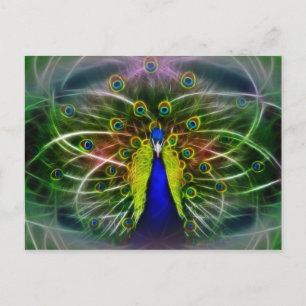 De Peacock Dreamweaver Briefkaart