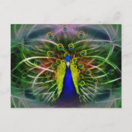 De Peacock Dreamweaver Briefkaart