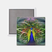 De Peacock Dreamweaver Magneet (Voorkant / Achterkant)