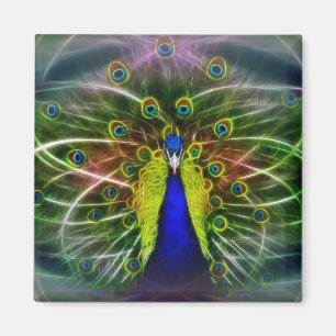 De Peacock-drocatcher Magneet