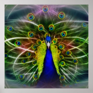 De Peacock-drocatcher Poster
