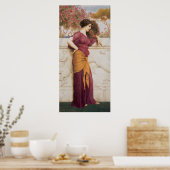 De Peacock Fan Poster (Keuken)