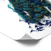 De Peacock Poster (Hoek)