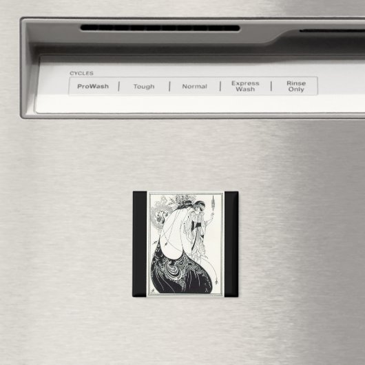 De Peacock Rok Magnet (Insitu (Vaatwasser))