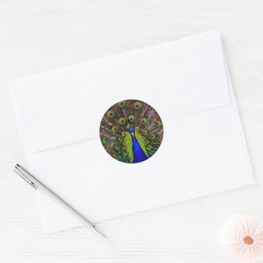 De Peacock Ronde Sticker (Envelop)