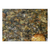 De Pebbles Brown en Gray Natural Abstract (Voorkant Horizontaal)