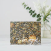 De Pebbles Brown en Gray Natural Abstract Briefkaart (Staand voorkant)
