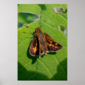 De Pecks Skipper Poster (Voorkant)