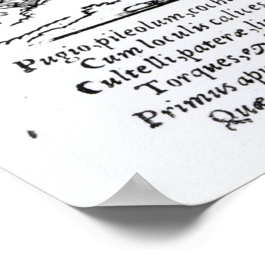 De Pedlar, gepubliceerd door Hartman Schopper Poster (Hoek)