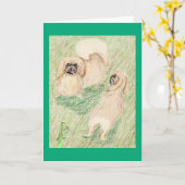 De pekingese en de gebeende antis kaart (Gele Bloem)
