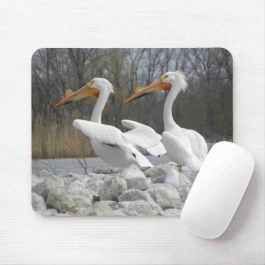 De Pelican Beak Muismat (Met muis)