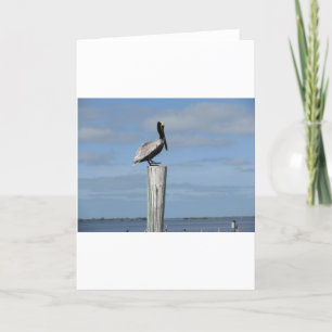 De Pelikaan van Florida op een Post bij het Dok Kaart