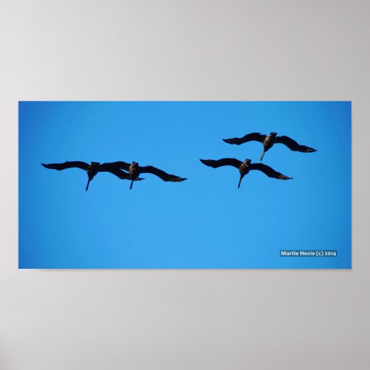 De Pelikaan Vier Poster (Voorkant)