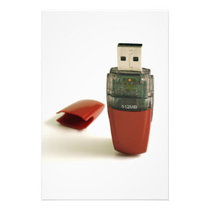De pen van de Flits van USB Foto Afdruk