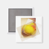 De peren... magneet (Voorkant / Achterkant)