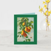 De peren van Catherine Klein.  DE KAART GRN VAN DE (Gele Bloem)