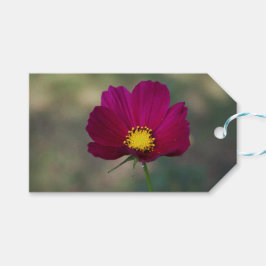 De Perfecte Bloem van de zuster Cadeaulabel