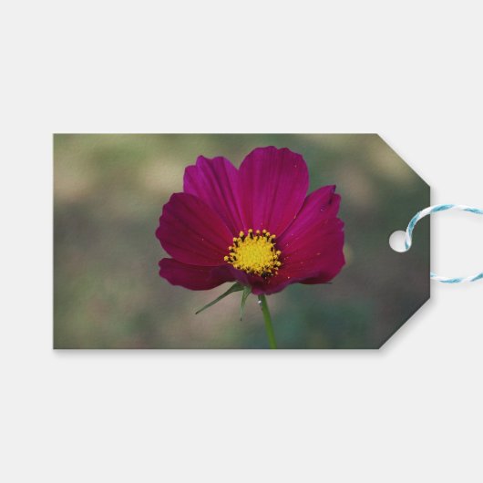 De Perfecte Bloem van de zuster Cadeaulabel (Voorkant (Horizontaal))