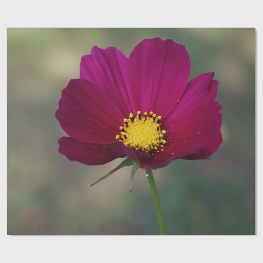 De Perfecte Bloem van de zuster Cadeaupapier (Vlak)