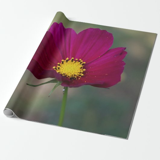 De Perfecte Bloem van de zuster Cadeaupapier (Uitgerold)