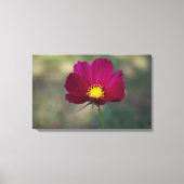 De Perfecte Bloem van de zuster Canvas Afdruk (Voorkant)