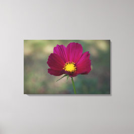 De Perfecte Bloem van de zuster Canvas Afdruk