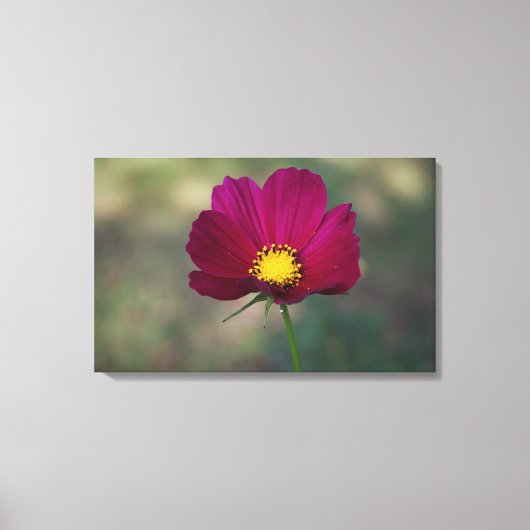 De Perfecte Bloem van de zuster Canvas Afdruk (Voorkant)